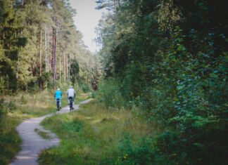 Zwei Senioren fahren auf dem Fahrrad einen Waldweg entlang. Rechts und links wachsen verschiedene Kiefern und einige Birkenbäume. Es scheint ein warmer Tag zu sein, denn die älteren Leute tragen kurze Hosen.