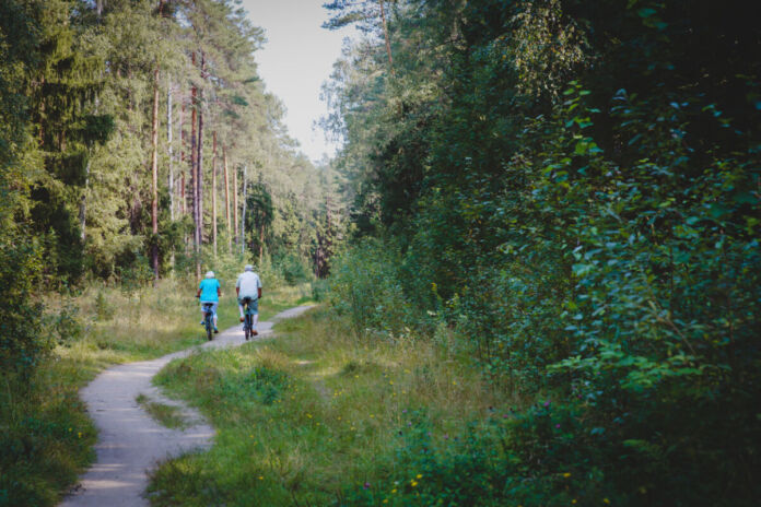 Zwei Senioren fahren auf dem Fahrrad einen Waldweg entlang. Rechts und links wachsen verschiedene Kiefern und einige Birkenbäume. Es scheint ein warmer Tag zu sein, denn die älteren Leute tragen kurze Hosen. Ein seltenes Raubtier breitet sich nun in deutschen Wäldern aus.