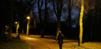 Eine Frau geht mit ihrem Hund spazieren. Sie ist dabei allein in einem Park mitten in der Nacht oder am frühen Morgen. Die Straßenbeleuchtung ist angeschaltet.