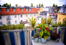 Ausblick von einem Balkon mit Pflanzen und verschiedenen Blumen in Töpfen. Der Blick geht auf andere Häuser und Wohnungen. Der Balkon ist mit einem Sichtschutz versehen.