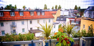 Ausblick von einem Balkon mit Pflanzen und verschiedenen Blumen in Töpfen. Der Blick geht auf andere Häuser und Wohnungen. Der Balkon ist mit einem Sichtschutz versehen.