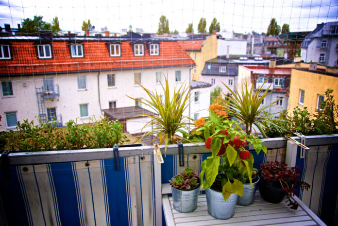 Ausblick von einem Balkon mit Pflanzen und verschiedenen Blumen in Töpfen. Der Blick geht auf andere Häuser und Wohnungen. Der Balkon ist mit einem Sichtschutz versehen.