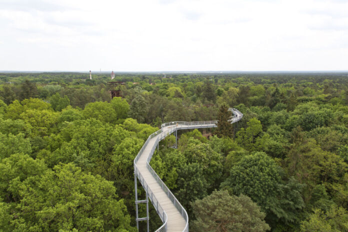 Längerer Steg/Wanderweg auf Metallstelzen in einigen Metern Höhe. Er führt durch einen dichten Wald mit grünen Laub- und Nadelbäumen.