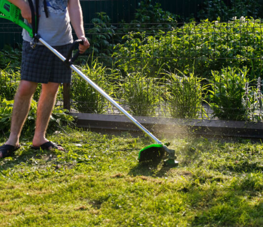 Ein Mann steht in seinem Garten und trimmt mithilfe eines Rasentrimmers seinen Rasen. Er trägt eine kurze Hose und Sandalen. Es scheint Sommer zu sein. Der Rasen leuchtet in einem satten Grünton.