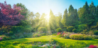 Ein schöner Frühlingsgarten mit vielen bunten Pflanzen und Blumen. Rings herum befinden sich Bäume. Durch die Bäume hindurch scheint die Sonne.