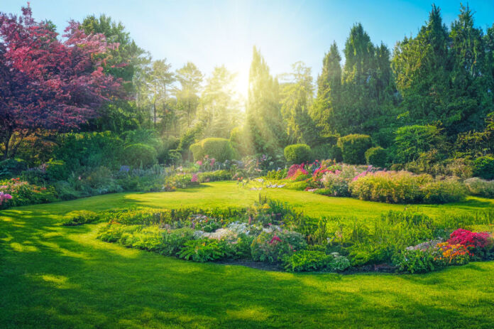 Ein schöner Frühlingsgarten mit vielen bunten Pflanzen und Blumen. Rings herum befinden sich Bäume. Durch die Bäume hindurch scheint die Sonne.