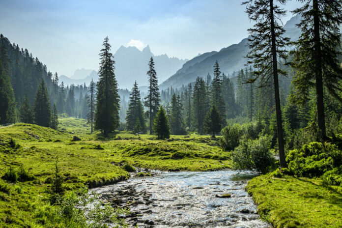 Durch ein scheinbar unberührtes Stück Natur fließt ein Fluss durch ein Tal zwischen Tannen, die zuerst vereinzelt stehen und dann zu einem Wald werden. Im Hintergrund ragen die Berge in den Himmel hinauf.