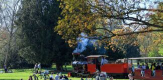 Die Schlossgartenbahn fährt durch den Park vorbei an Bürgern, die es sich gut gehen lassen auf der Wiese. Sie liegen auf einer Decke oder machen ein Picknick.