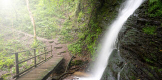Ein Wanderweg führt mitten durch den Wald über eine Brücke zu einem wunderschönen Wasserfall. Der Wasserfall ist eine tolle Idee für einen Ausflug im Sommer. Touristen kommen voll auf ihre Kosten.