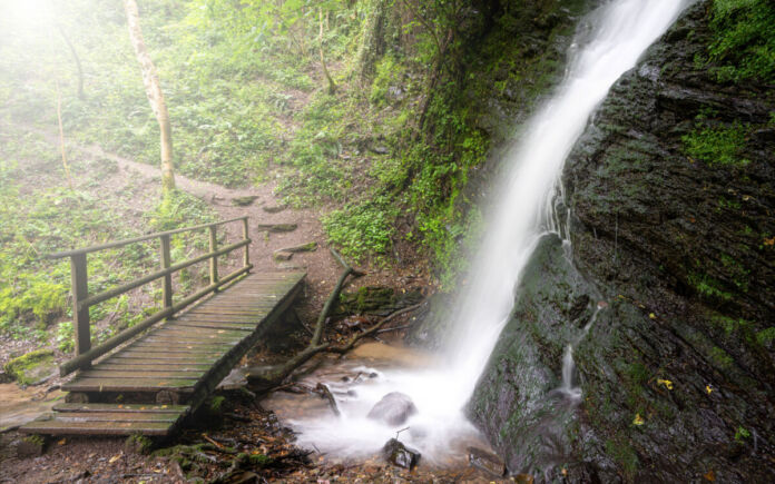 Ein Wanderweg führt mitten durch den Wald über eine Brücke zu einem wunderschönen Wasserfall. Der Wasserfall ist eine tolle Idee für einen Ausflug im Sommer. Touristen kommen voll auf ihre Kosten.