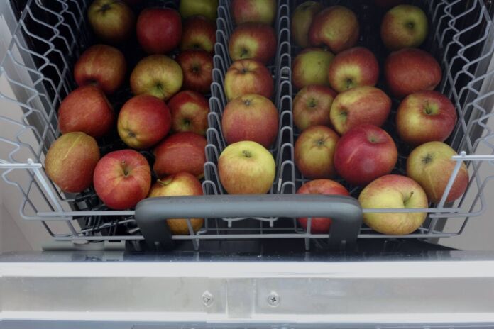 Im oberen Korb einer Geschirrspülmaschine liegen viele Äpfel ordentlich nebeneinander aufgereiht. Sie sehen aus, als ob sie gerade gewaschen wurden. Erste Haushalte waschen bestimmte Lebensmittel nun in der Geschirrspülmaschine.