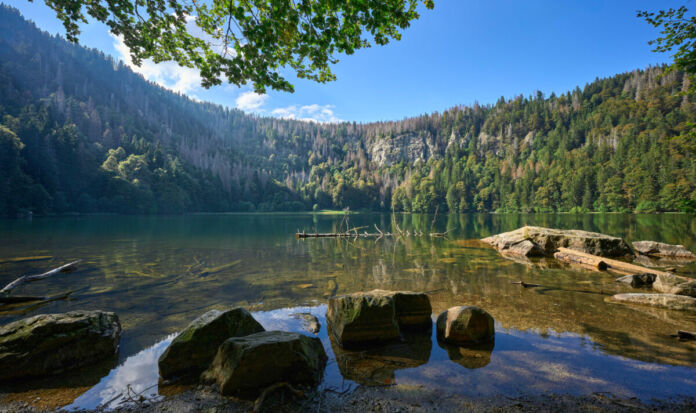 Der Feldsee in Baden-Württemberg bei blauem Himmel im Sommer. Der Badesee ist von Wäldern umgeben und ein wunderschönes Ausflugsziel für Touristen. Die Attraktion ist sehr hoch gelegen.