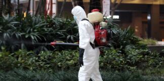 Ein Mann in einem weißen Schutzanzug versucht, mit Pestiziden einen Strauch vor einer Plage zu bewahren und die Ausbreitung zu verhindern.