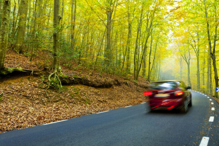 Auf einer kaum befahrenen Landstraße mitten im Wald ist ein rotes Auto unterwegs. Im Hintergrund sind unzählige Bäume, durch die ein Lichtstrahl fällt, zu erkennen, während Laub den Waldboden bedeckt.