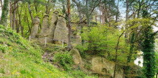 An einem Hang inmitten eines dichten Waldes oder Naturparks sind mehrere hohe Felsen als eine Art Felsformation zu sehen. Das Grün verrät, dass Frühling ist.