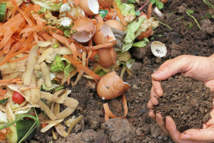 Eine Hand gräbt in der Erde. Es befinden sich viele Abfälle auf dem Boden, unter anderem Eierschalen und Abfälle von Karotten und Kartoffeln.