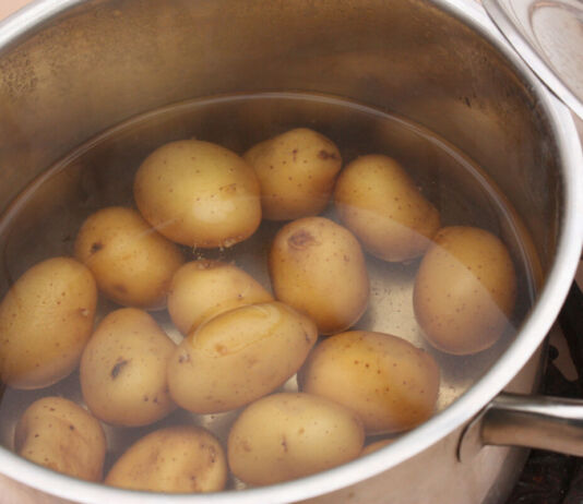 Auf einer Herdplatte steht ein Kochtopf aus Edelstahl mit Wasser und vielen noch ungeschälten Kartoffeln. Neben dem Topf liegt der passende Deckel.