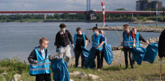 Freiwillige sammeln Müll direkt am Rheinufer. Mit einer Greifzange oder mit der Hand wird der Müll vom Boden aufgelesen und in den Müllsack gepackt.