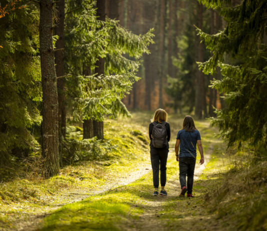 Zwei Frauen laufen zusammen einen Waldweg umringt von Bäumen. Vor ihnen im Wald ist eine helle Lichtung und ihr Wanderausflug hat wohl diese zum Ziel.