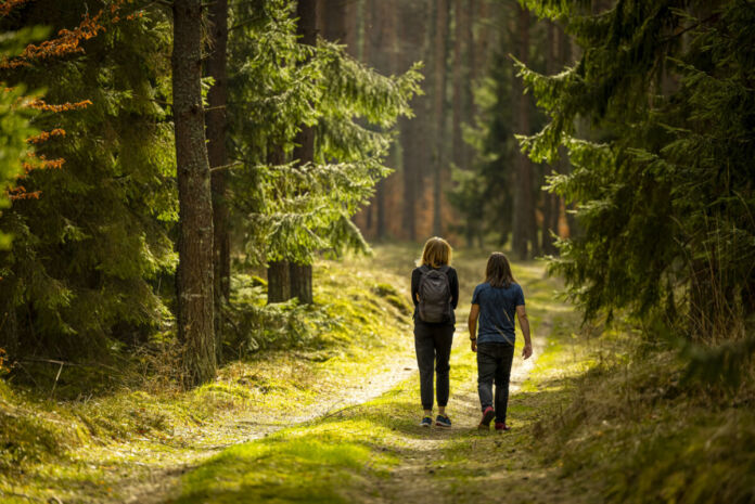 Zwei Frauen laufen zusammen einen Waldweg umringt von Bäumen. Vor ihnen im Wald ist eine helle Lichtung und ihr Wanderausflug hat wohl diese zum Ziel.