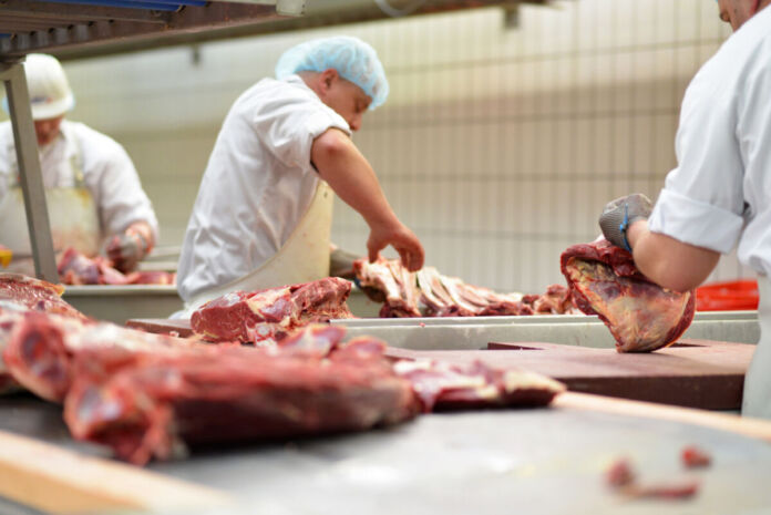 Mehrere Fleischer sind in ihrem Betrieb gerade tatkräftig bei der Arbeit. Ein Mann, in weißer Arbeitskleidung gekleidet, zerlegt den Kadaver eines Tieres und bearbeitet das rötliche Fleisch.