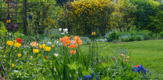 Der Blick auf einen wunderschönen und ordentlich angelegten Garten. Der Besitzer hat viele bunte Blumen gepflanzt, die in allen möglichen Farben und Formen blühen. Der Rasen ist gemäht.