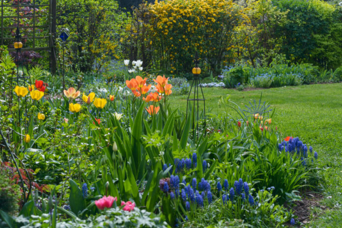 Der Blick auf einen wunderschönen und ordentlich angelegten Garten. Der Besitzer hat viele bunte Blumen gepflanzt, die in allen möglichen Farben und Formen blühen. Der Rasen ist gemäht.