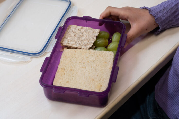 In der Brotdose dieses Schülers liegen nur vegane Lebensmittel. Das sind Trauben, Brot und Knäckebrot - diese Mahlzeit für Kinder ist frei von Tieren.