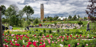 Das Landesgartenschaugelände in Schwäbisch Gmünd ist ein beliebtes Ausflugsziel für Besucher. Das Bild zeigt die bunten Blumen und im Hintergrund den Aussichtsturm, der in dem Park steht.