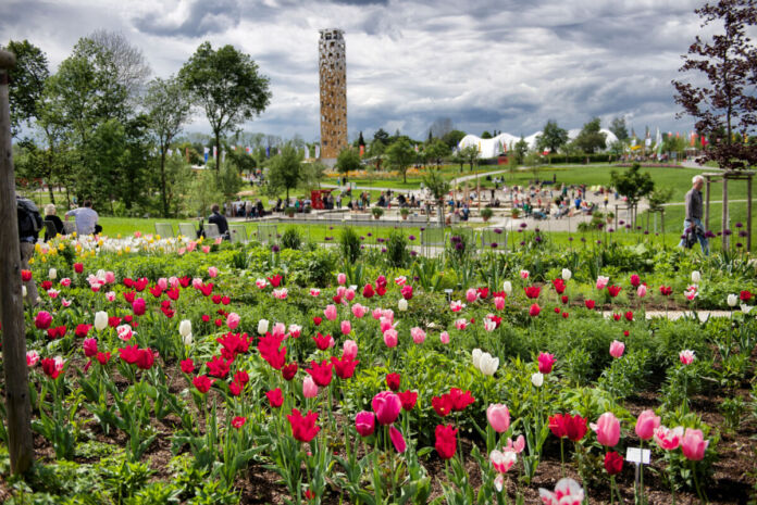 Das Landesgartenschaugelände in Schwäbisch Gmünd ist ein beliebtes Ausflugsziel für Besucher. Das Bild zeigt die bunten Blumen und im Hintergrund den Aussichtsturm, der in dem Park steht.