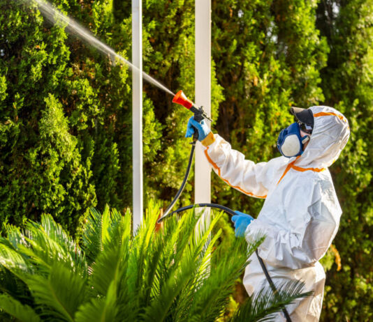 Ein Schädlingsbekämpfer mit weißem Schutzanzug und weißer Maske steht vor grünen Pflanzen und besprüht sie mit einem Insektizid, um Schädlinge und Krankheitserreger zu bekämpfen.