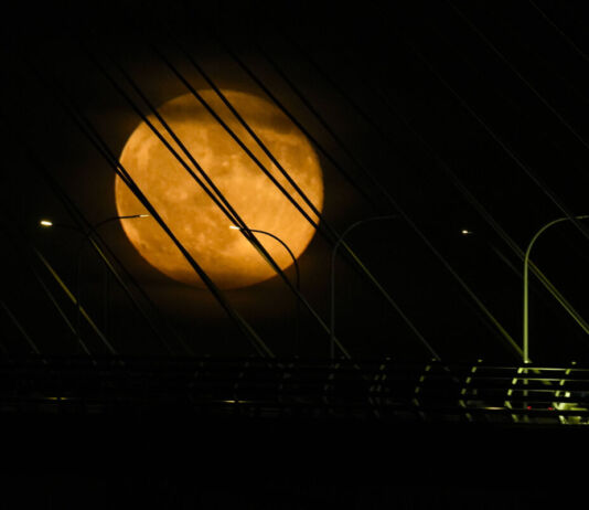 Vor einem pechschwarzen Himmel mitten in der Nacht sieht man einen vollen leuchtend orangefarbenen Mond. Vor ihm sind Stromseile und Laternen zu sehen. Es erwartet uns bald ein großes Himmelsspektakel über Deutschland.