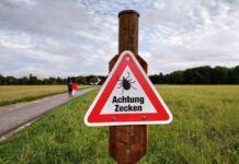 Ein Warnschild für Zecken steht neben einem landwirtschaftlichen Weg. Im Hintergrund sind zwei Wanderer, die sich durch die Felder bewegen. Das Schild für Zecken ist rot-weiß und beinhaltet eine Zeichnung des Schädlings.